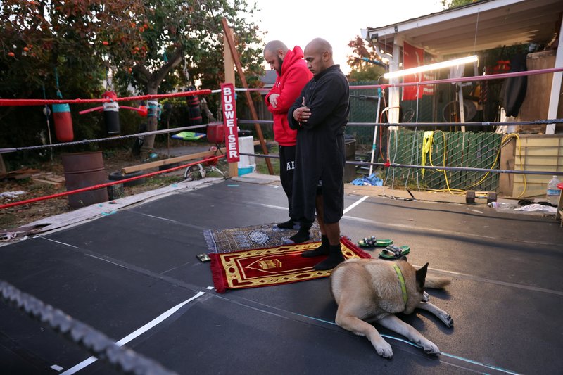 4ae8e748-aeb9-4732-84d9-3deb90bcfd85