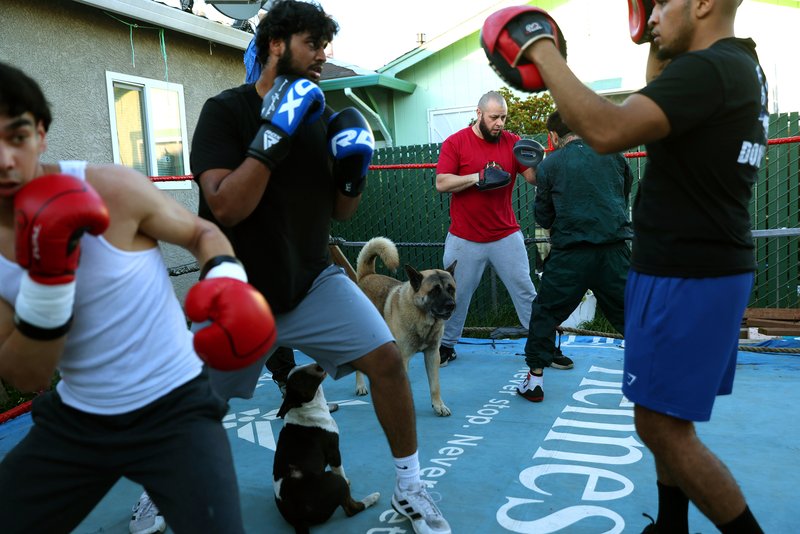 d895766f-03da-4007-b88b-a2e640f81316